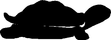 DBLT Devils Tower Buffalo Large Turtle