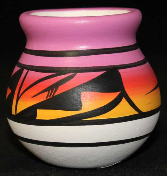 10058 Indian Rainbow  3 or smaller Mini Pot