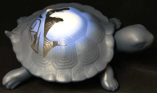 11105 Desert Rainbow 12 Turtle Box