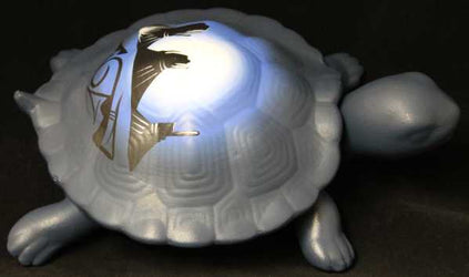 11105 Desert Rainbow 12 Turtle Box