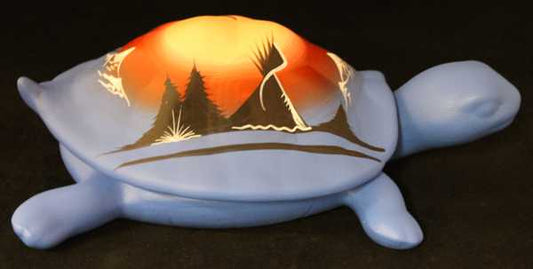 12105 Mountain Rainbow  12 Turtle Box