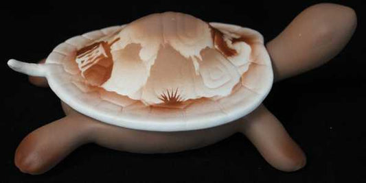 32104 Navajo Lifestyles  7 Turtle Box