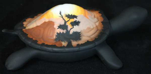 35104 Sunset Canyon  7 Turtle Box